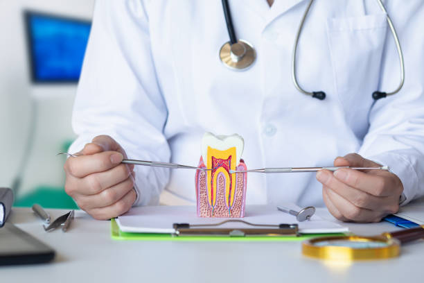 Best Emergency Treatment for Toothache in Westwood, PA